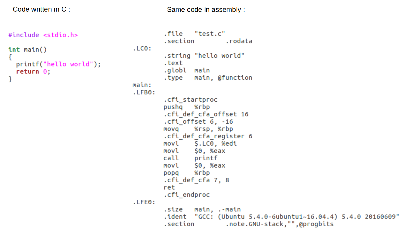 c_vs_assembly