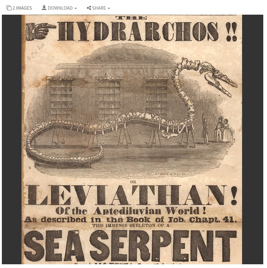 Une affiche annonçant un serpent de mer